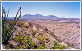 Old Ore Road, Big Bend National Park, TX