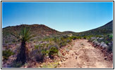 Old Ore Road, Big Bend National Park, Texas