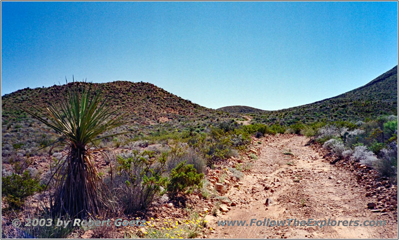 Old Ore Road, Big Bend National Park, TX