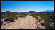 Old Ore Road, Big Bend National Park, Texas