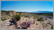 Old Ore Road, Big Bend National Park, Texas