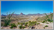 Glen Springs Road, Big Bend National Park, Texas