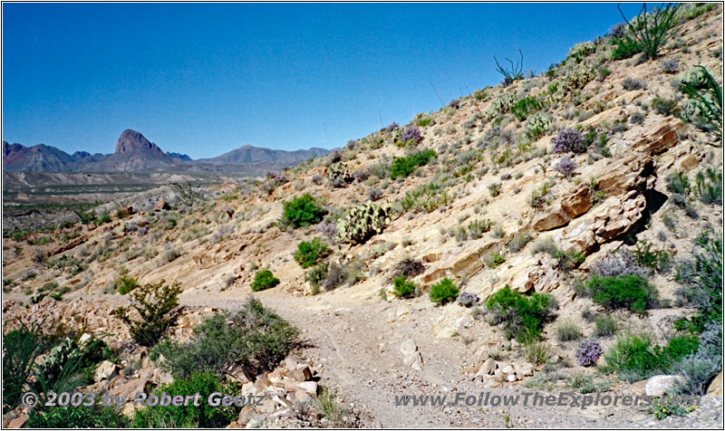 Black Gap Road, Big Bend National Park, Texas