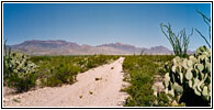 Black Gap Road, Big Bend National Park, TX