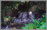 River Walk, San Antonio, TX