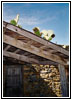 Mission San José, San Antonio, TX Mission San José, San Antonio, TX