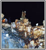 Natural Bridge Caverns, San Antonio, Texas