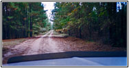 Highway 1170, TX Highway 1170, TX