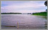 Camp Wood, Mississippi River, IL