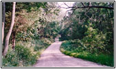 Good-Nuf Hollow Road, Wisconsin