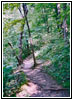 Sugar Maple Nature Trail, Wyalusing State Park, Wisconsin