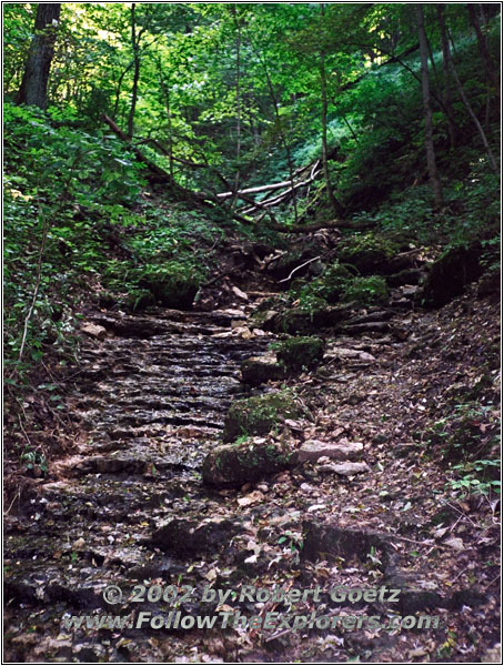 Sugar Maple Nature Trail, Wyalusing State Park, WI