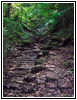 Sugar Maple Nature Trail, Wyalusing State Park, Wisconsin