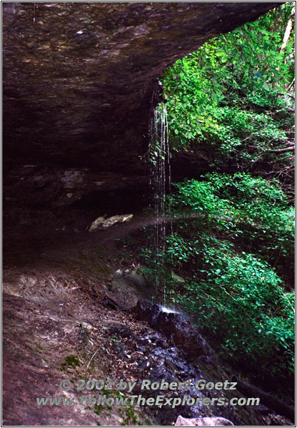 Bridal Veil Falls, Pikes Peak State Park, Iowa