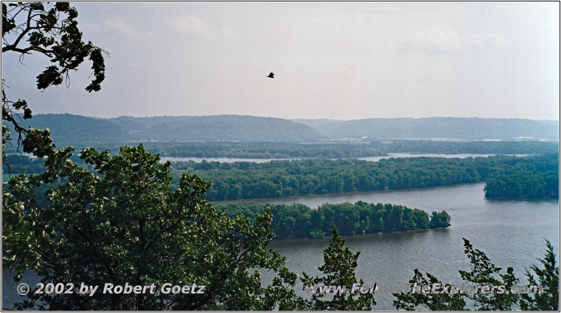 Eagle, Mississippi River, Fire Point, Effigy Mounds, IA Eagle, Mississippi River, Fire Point, Effigy Mounds, IA