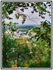 Memorial Park, Red Wing, Minnesota