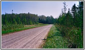 CR36, MN CR36, MN