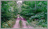 FR2129, MN FR2129, MN