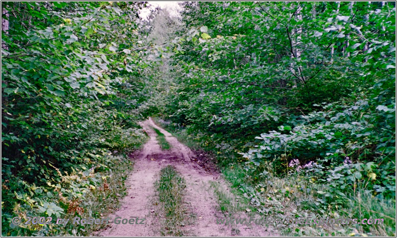 FR2129, MN FR2129, MN