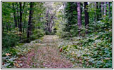 FR2129, MN FR2129, MN