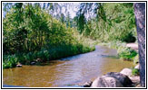 Ursprung Mississippi River, Lake Itasca State Park, Minnesota Ursprung Mississippi River, Lake Itasca State Park, Minnesota