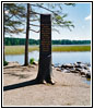 Schild Ursprung Mississippi River, Lake Itasca State Park, Minnesota Schild Ursprung Mississippi River, Lake Itasca State Park, Minnesota