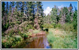Mississippi River, Lake Itasca State Park, Minnesota Mississippi River, Lake Itasca State Park, Minnesota