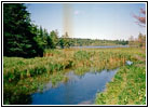 Elk Lake, Lake Itasca SP, MN