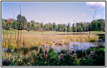 Elk Lake, Lake Itasca State Park, Minnesota